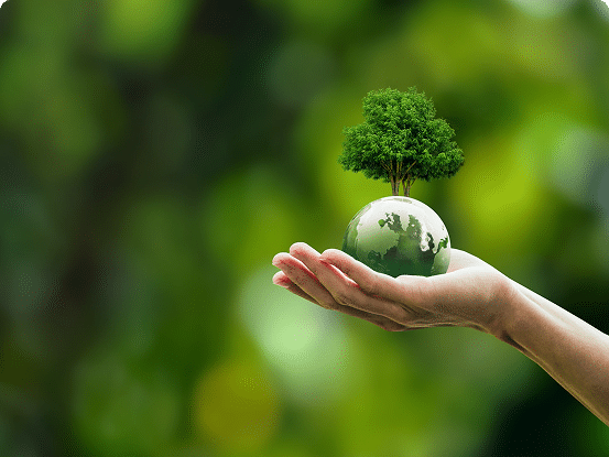 Hand holding a small globe with a tree growing on top, set against a blurred green nature background.